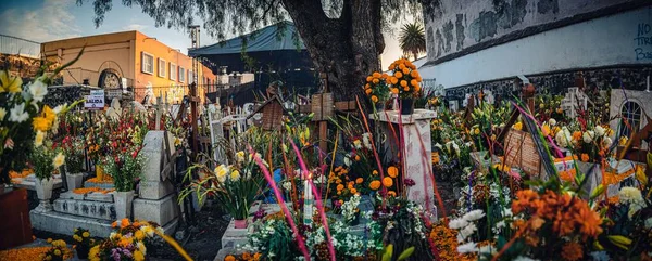 Blumen Mexiko Stadt Zum Tag Der Toten — Stockfoto