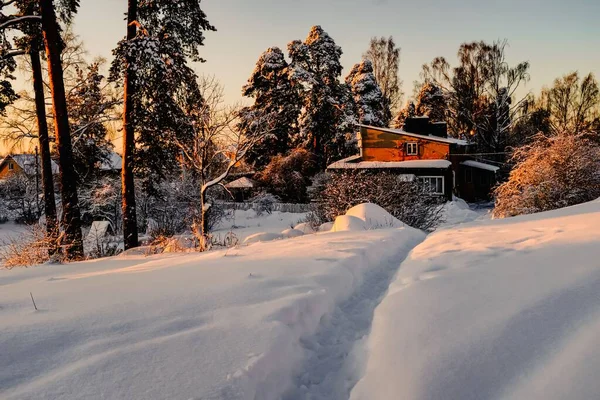 Ένα Μονοπάτι Ένα Χιόνι Κοντά Ένα Σπίτι Που Περιβάλλεται Από — Φωτογραφία Αρχείου
