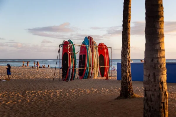Tablas Surf Apiladas Bastidores Playa Waikiki Luz Noche — Foto de Stock