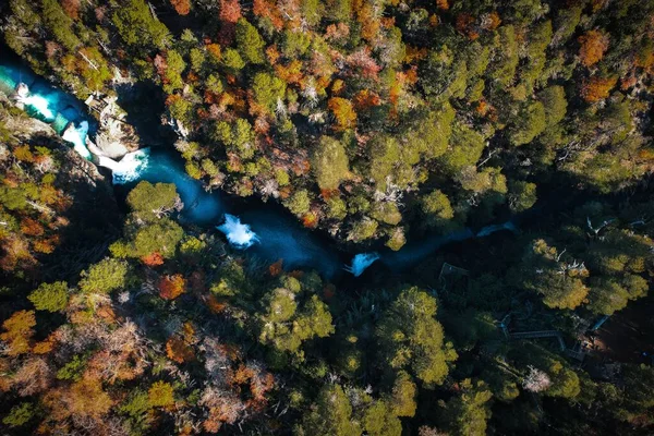 Uma Vista Aérea Superior Rio Que Flui Através Uma Floresta — Fotografia de Stock