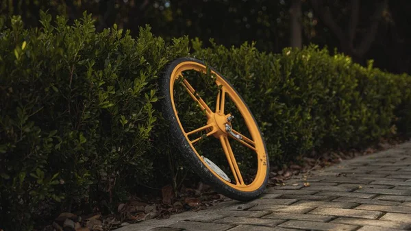 Ein Fahrradreifen Der Sich Auf Einen Busch Stützt — Stockfoto