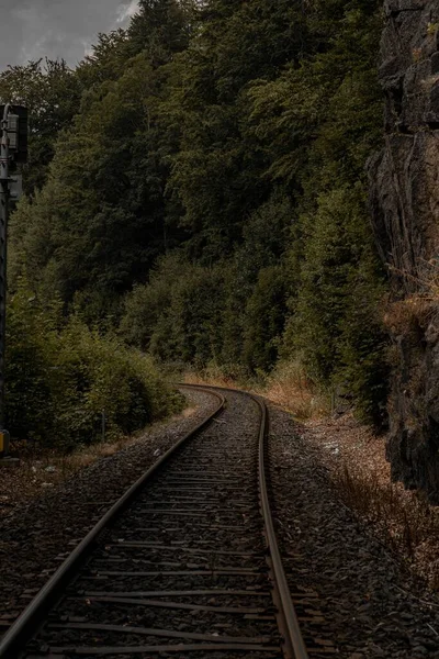Ένα Κάθετο Δραματικό Πλάνο Των Σιδηροδρομικών Μονοπατιών Στο Καταπράσινο Τροπικό — Φωτογραφία Αρχείου
