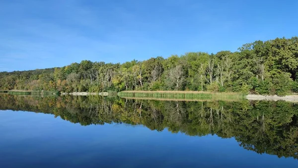 Vacker Utsikt Över Trä Träd Reflekterar Vatten Sjö Med Blå — Stockfoto