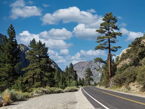 一条通向加州六月湖环路的空旷小路的美丽镜头 — 图库照片