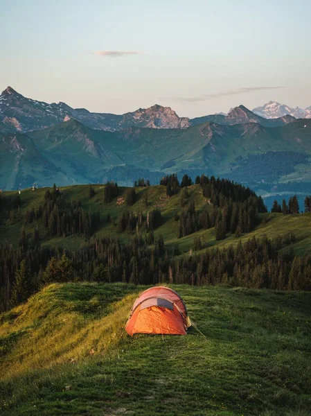 山の範囲と日没時に背景に松の木と緑の谷のオレンジ色のテントの垂直ショット — ストック写真