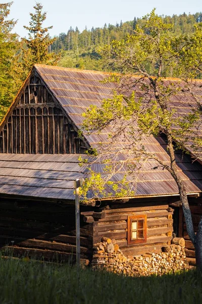 Yeşil ormandaki ahşap bir kır evi.