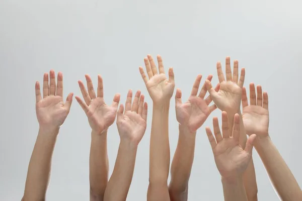 Muitas Mãos Levantadas Uma Fileira Fundo Cinza — Fotografia de Stock