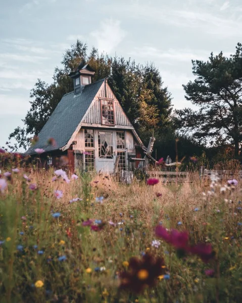 Krajobraz Domku Czarodzieja Polu Kwiatów Prowincji Namur Belgia — Zdjęcie stockowe