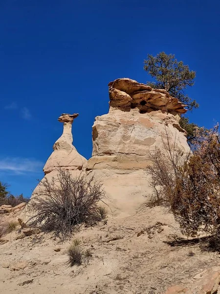Eine Vertikale Aufnahme Natürlicher Geologischer Formationssteine Umgeben Von Trockenen Pflanzen — Stockfoto