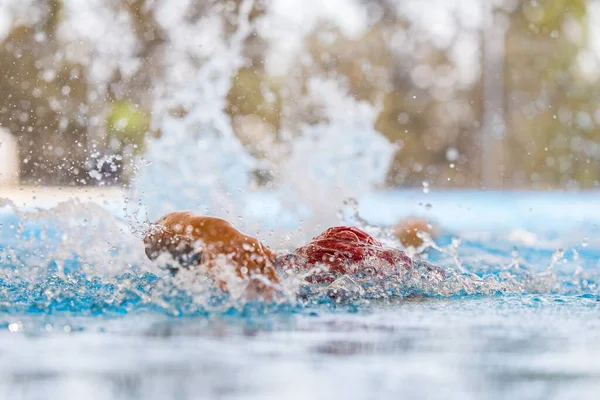 수영장에서 수영하는 튀기다 — 스톡 사진