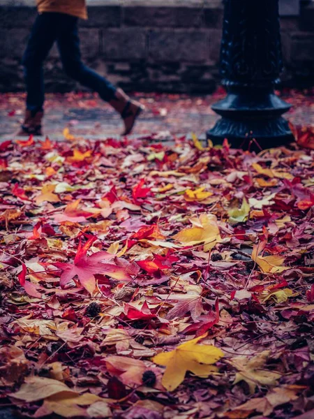 秋の紅葉の垂直ショットは フランスのナントの公園で地面に落ちます — ストック写真