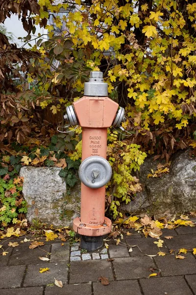 Die Vertikale Ansicht Eines Alten Feuerhydranten Vor Den Pflanzen Einem — Stockfoto