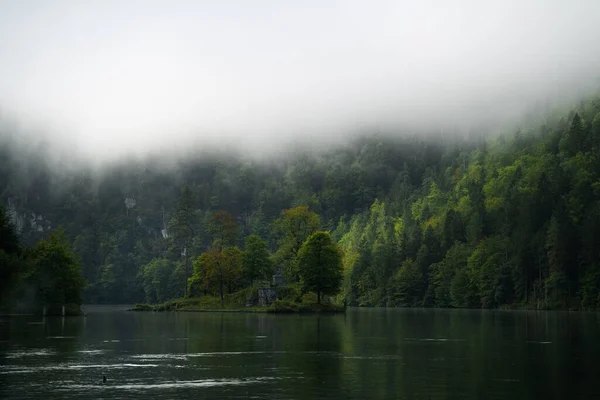 Озеро Окруженное Густым Зеленым Лесом Туманную Погоду — стоковое фото