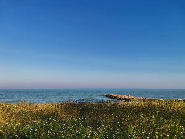 Krajobraz Pięknego Pola Brzegu Jeziora — Zdjęcie stockowe
