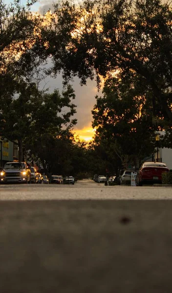 緑の木々の間から見える夕焼け空の陽射しが車の並ぶ通りから出てくる — ストック写真