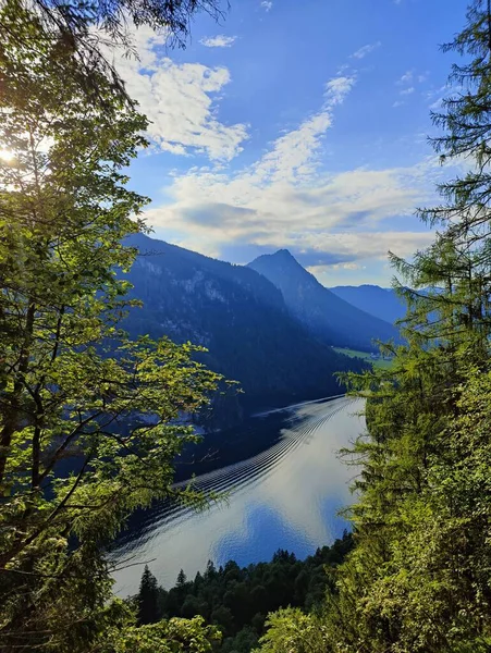 Eine Vertikale Aufnahme Eines Sees Einem Grünen Wald Tag — Stockfoto