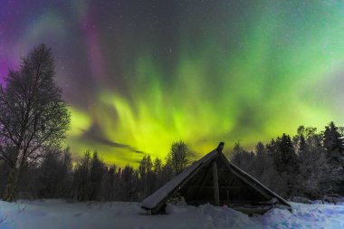 Finlandiya, Rovaniemi 'de gece gökyüzünde parlayan Kuzey Işığı