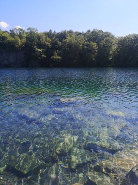 Arka planda yeşil ağaçlar olan sakin, berrak bir gölün dikey görüntüsü.