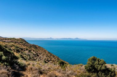 Korbous, Tunus kıyısındaki bir ormanın tepesinden çekilen güzel bir deniz manzarası