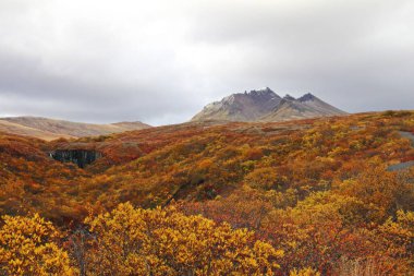 Sonbahar boyunca İzlanda 'da güzel bir dağ manzarası