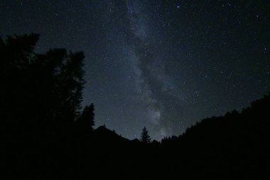Gökyüzündeki mutlu Samanyolu 'nun altındaki ağaçların silueti.