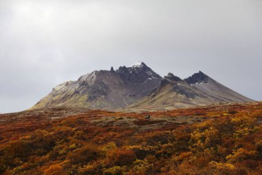 Sonbahar boyunca İzlanda 'da güzel bir dağ manzarası