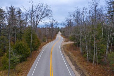 Bulutlu gökyüzünün altındaki sessiz bir parkın sonbahar ağaçları arasındaki yolda çekilmiş bir fotoğraf.