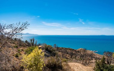 Korbous, Tunus kıyısındaki bir ormanın tepesinden çekilen güzel bir deniz manzarası