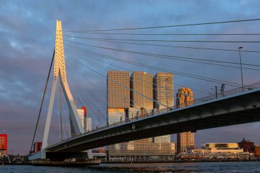 Günbatımında tipik modern gökdelenlerin mimarisi ve önplanındaki ünlü Erasmus köprüsünün bir kısmıyla Rotterdam 'ın ufuk çizgisini aydınlattı.