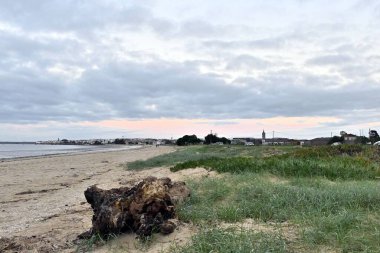 Bulutlu gökyüzünün altında inşa edilmiş alçak gelgitli deniz manzarası