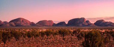 Gün batımında dağların arka planında sık ağaçlarla dolu bir alan manzarası