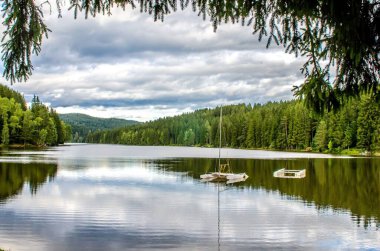 Kırsal kesimde fırtınalı bir günde bulutlu bir gökyüzünün altındaki ormandaki bir nehrin manzarası.