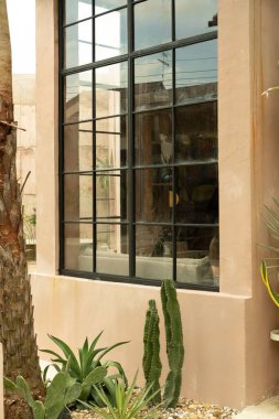 Arka bahçesinde kırsal dekoru olan taze yeşil bitkilerin dikey görüntüsü.