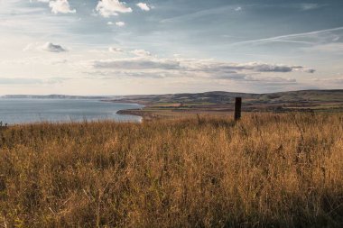 Wight Adası 'ndaki deniz kıyısında çimenli bir tarla.