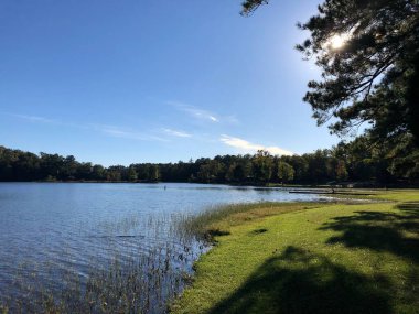 Uzun ağaçlar ve yeşil tarlalarla çevrili güzel bir göl manzarası.
