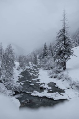 Karla kaplı ağaçlarla çevrili nehrin dikey görüntüsü..
