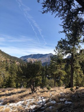 Güneşli bir günde bir dağ vadisinde Woody arazisi