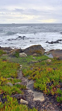 Dalgalı denize karşı kayalık deniz manzarası.