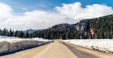 Yol kenarındaki ağaçlar ve yön işaretleri bulutlu bir gökyüzüne karşı