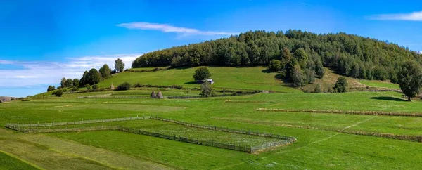 Панорамный Пейзаж Зеленого Поля Деревянным Забором Сельской Местности — стоковое фото