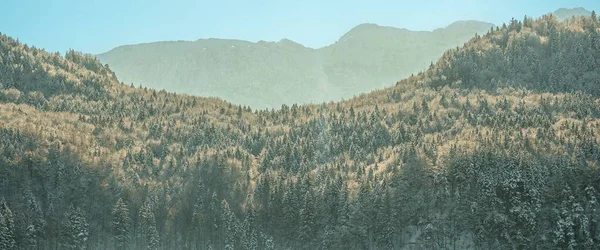 Panoramatický Výhled Hory Stromy Pokrytými Svahy Před Modrým Panoramatem Zimním — Stock fotografie