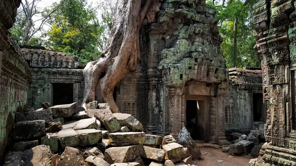 Close Shot Ancient Building Tree Roots Krong Siem Reap Cambodia — Stock Photo, Image