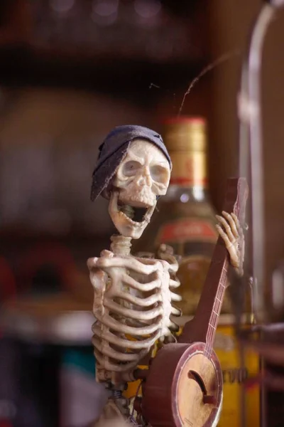 Вертикальний Знімок Скелета Грає Музичному Інструменті — стокове фото