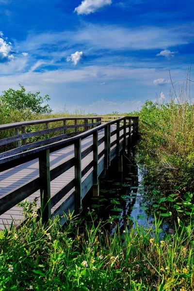 Függőleges Felvétel Víz Feletti Hídról Everglades Nemzeti Park — Stock Fotó