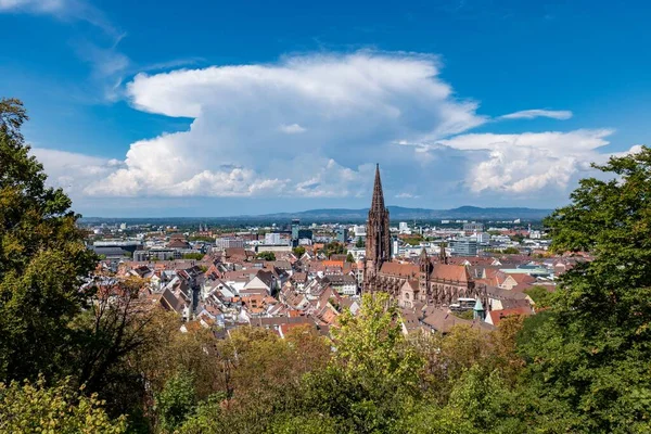 Una Toma Aérea Catedral Freiburger Munster Edificios Medievales Alemania — Foto de Stock