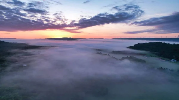Vacker Utsikt Över Skog Täckt Med Moln Solnedgången — Stockfoto