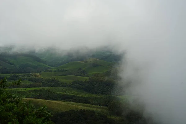 背景に山があり雲から霧が立ち昇る緑豊かな茶畑 — ストック写真