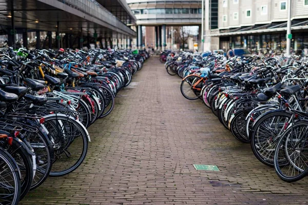 Énorme Parking Pour Vélos Amsterdam — Photo