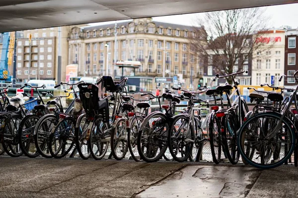 阿姆斯特丹的一个巨大的自行车停车场 — 图库照片