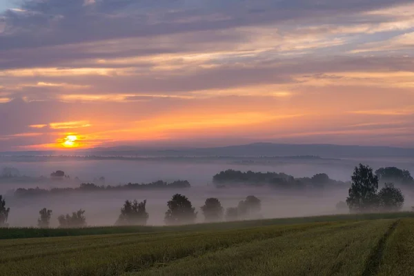 Een Mysterieus Mistig Natuurlijk Landschap Tijdens Zonsondergang — Stockfoto
